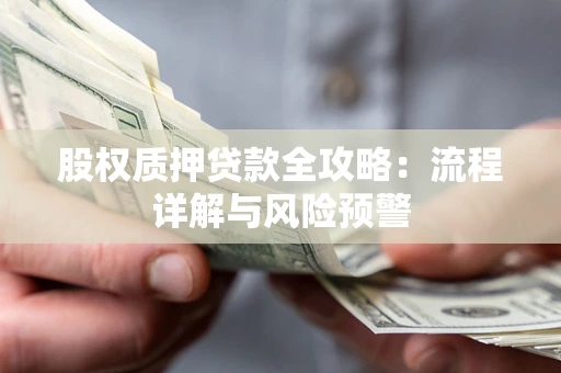 武汉股权质押贷款全攻略：流程详解与风险预警