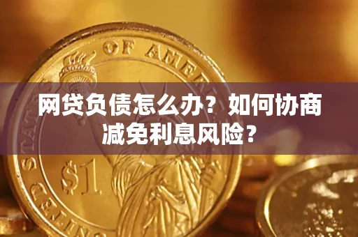 武汉网贷负债怎么办？如何协商减免利息风险？