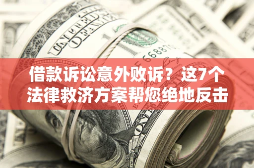 武汉借款诉讼意外败诉？这7个法律救济方案帮您绝地反击！