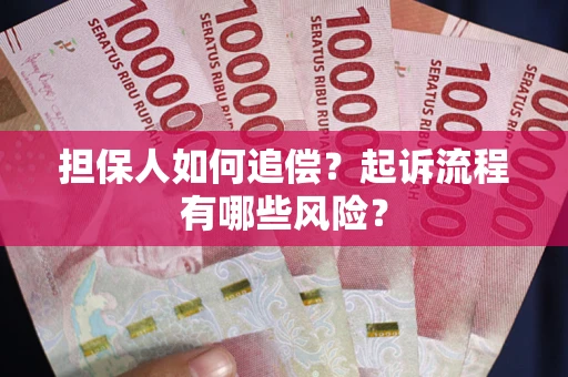武汉担保人如何追偿？起诉流程有哪些风险？