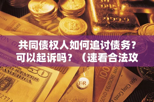 武汉共同债权人如何追讨债务？可以起诉吗？（速看合法攻略）
