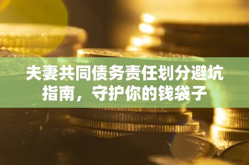 武汉夫妻共同债务责任划分避坑指南，守护你的钱袋子