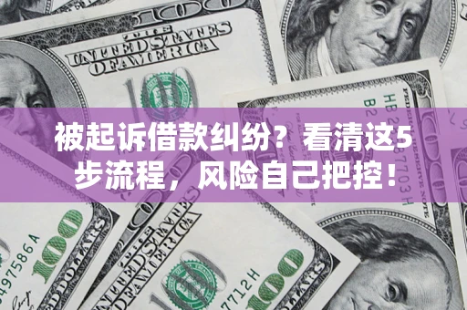 武汉被起诉借款纠纷？看清这5步流程，风险自己把控！