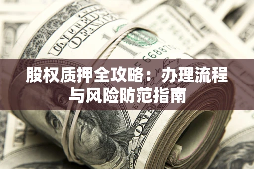 武汉股权质押全攻略：办理流程与风险防范指南