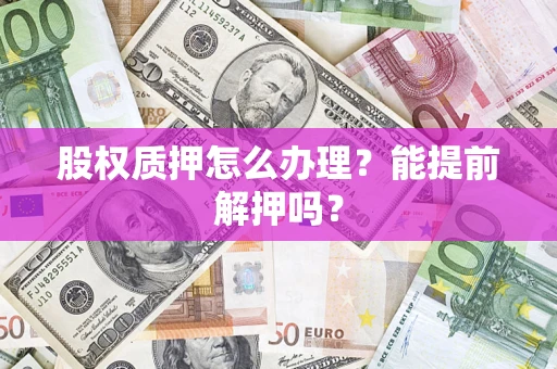武汉股权质押怎么办理？能提前解押吗？