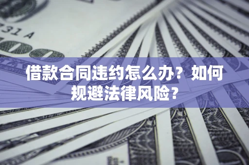 武汉借款合同违约怎么办？如何规避法律风险？